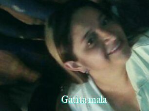 Gatita_mala
