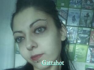 Gattahot