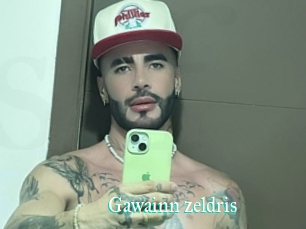 Gawainn_zeldris