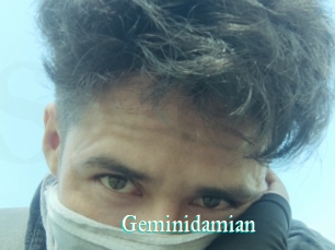 Geminidamian