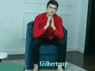 Gilbertpup