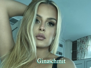 Ginaschmit