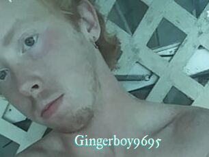 Gingerboy9695