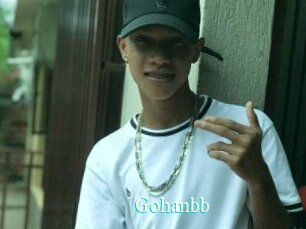 Gohanbb