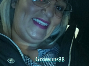 Grosseins88