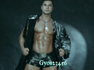 Gyo123456