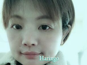 Haringo
