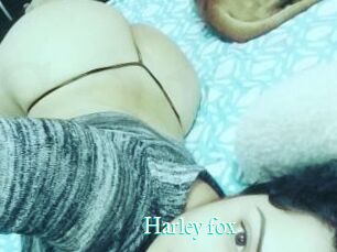 Harley_fox