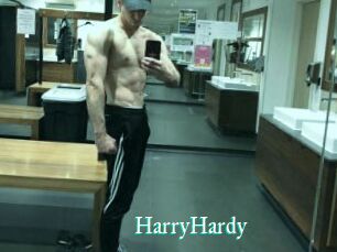 HarryHardy