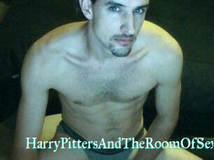 HarryPittersAndTheRoomOfSex
