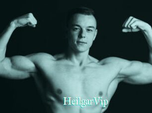 HeilgarVip