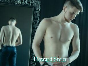Howard_Stein