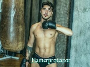 Hamerprotector