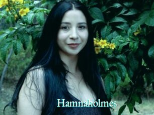 Hamnaholmes
