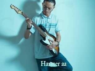 Hanner_aa