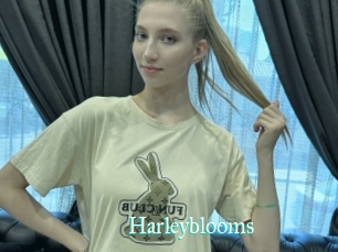 Harleyblooms