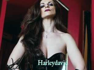 Harleydavid