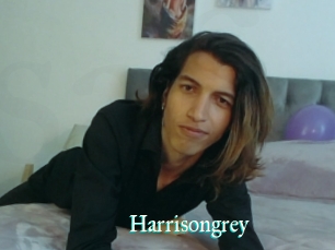 Harrisongrey