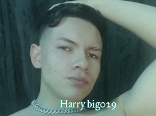 Harry_big029