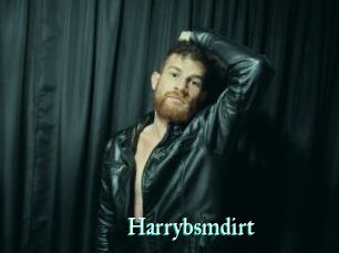 Harrybsmdirt
