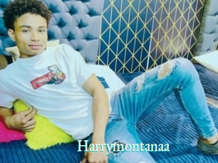 Harrymontanaa