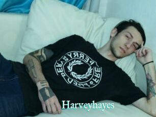 Harveyhayes
