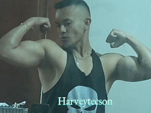 Harveytecson