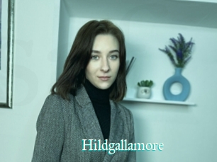 Hildgallamore