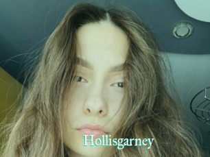 Hollisgarney