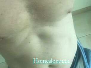 Homealone222