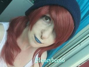 Honeybee66