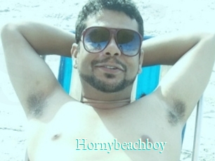 Hornybeachboy