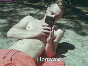Hornycock