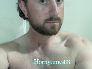 Hornytimes88