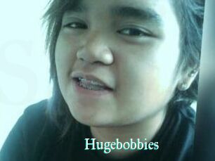 Hugebobbies