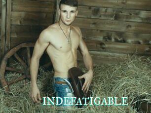 INDEFATIGABLE