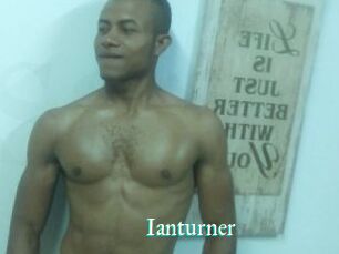 Ianturner