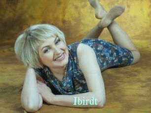 Ibirdt