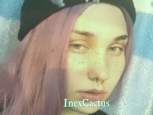 InexCactus