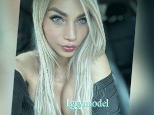 Iggymodel