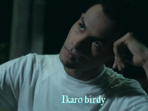 Ikaro_birdy