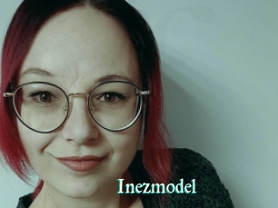 Inezmodel
