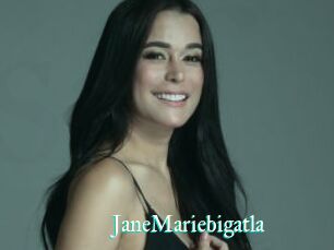 JaneMariebigatla