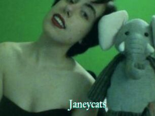 Janeycats