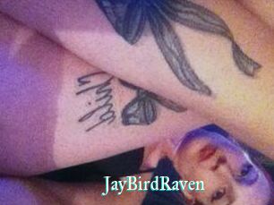 JayBirdRaven