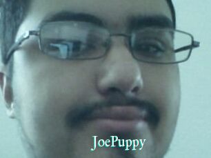 JoePuppy