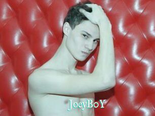 JoeyB0Y