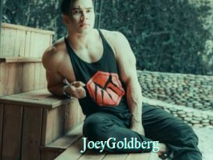 JoeyGoldberg
