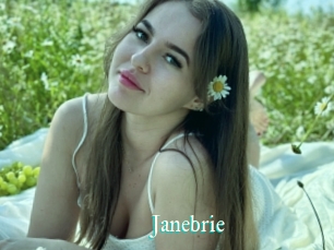 Janebrie
