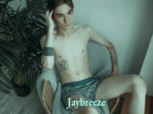Jaybreeze